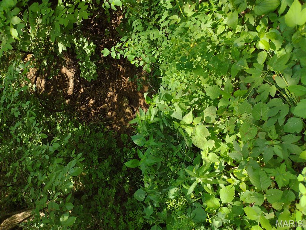 unincorporated - Farm