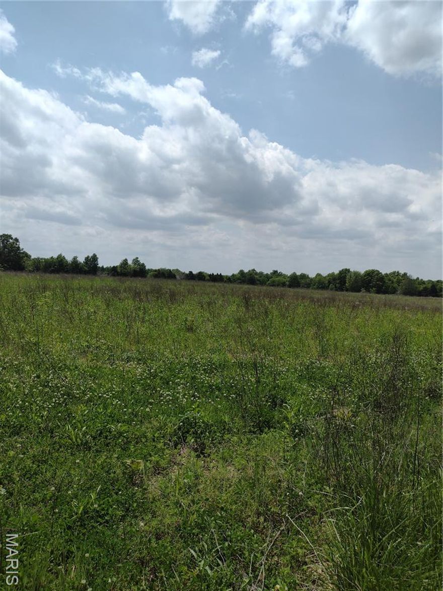 114.35 -/+ farmland and grazing. This land runs sits on the corner and runs along 2 roads with entry from both roads. Great for recreational, tillable crops (56+/- acres) or grazing.  Great place to build your new home. Seller may be interested in separating the 53 acres from the other 2 parcels No trespassing !! There are 24/7 surveillance cameras on the property.