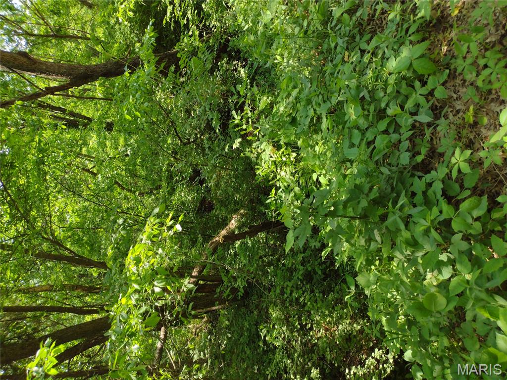 unincorporated - Farm