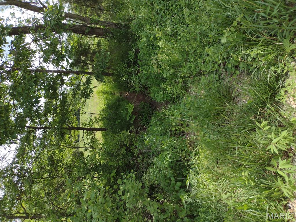 unincorporated - Farm