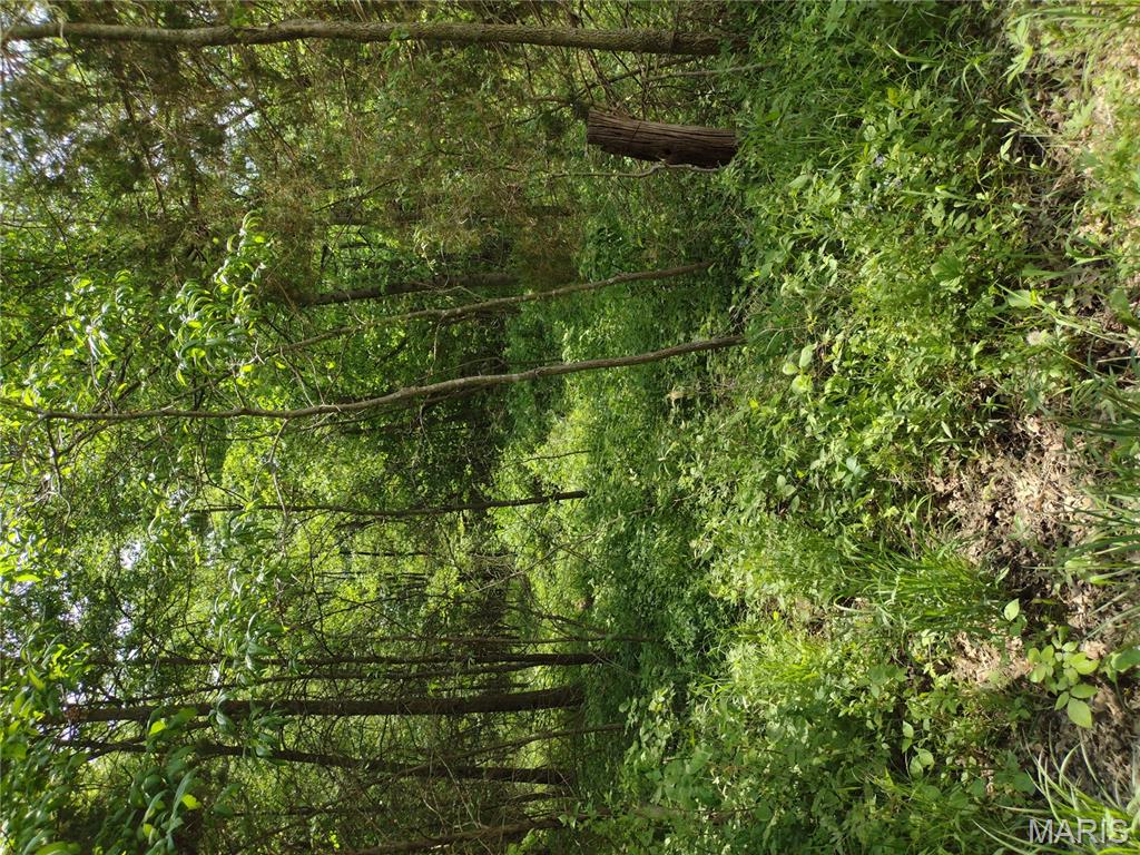 unincorporated - Farm