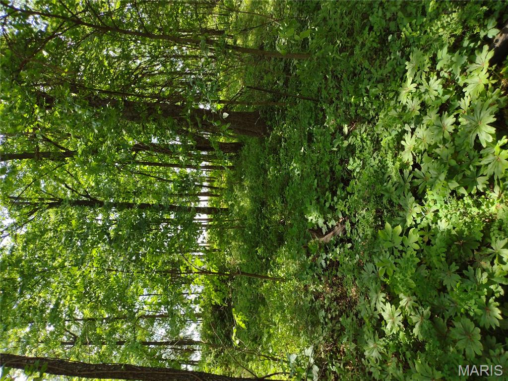 unincorporated - Farm