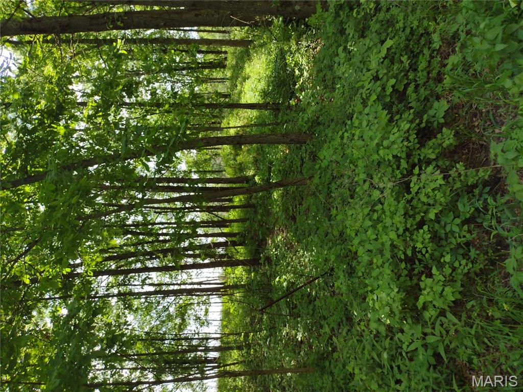 unincorporated - Farm