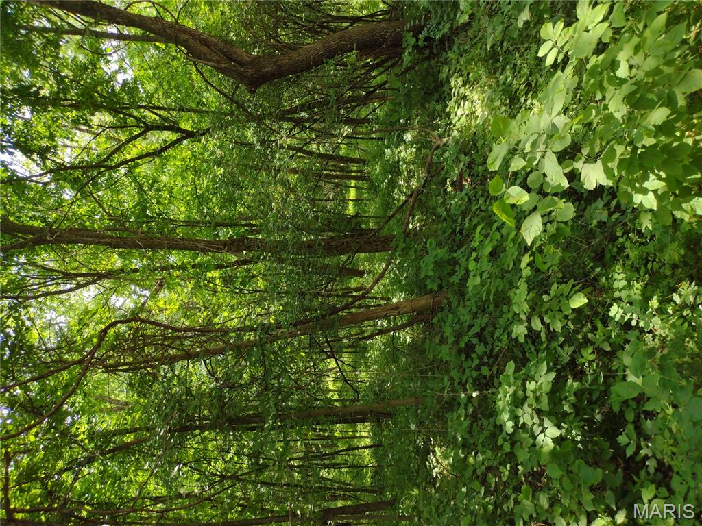 unincorporated - Farm