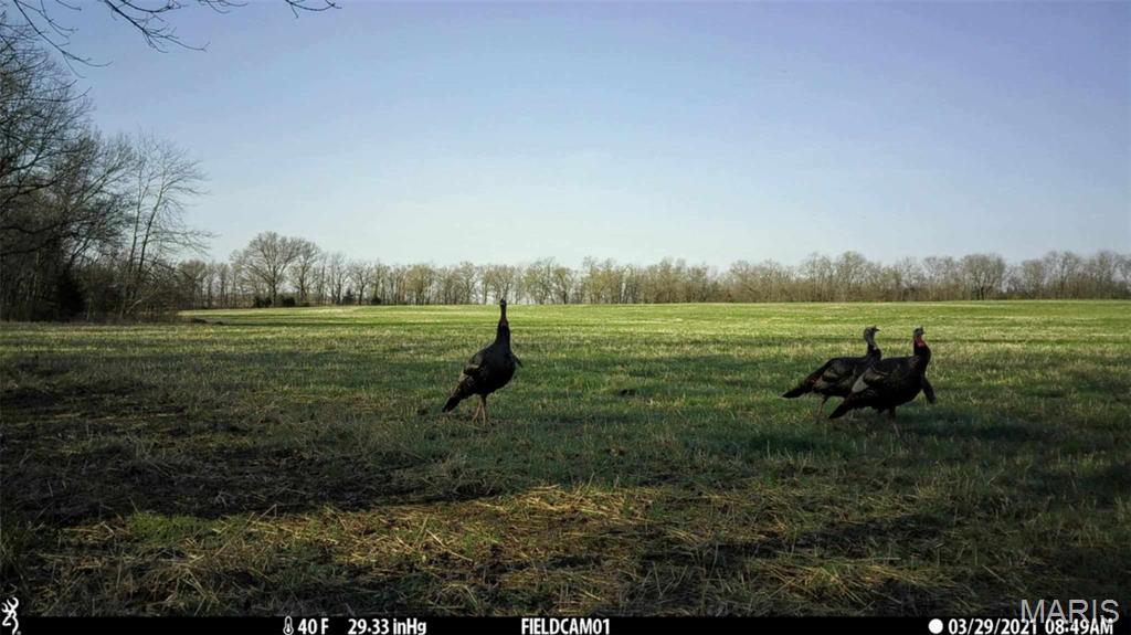 unincorporated - Farm