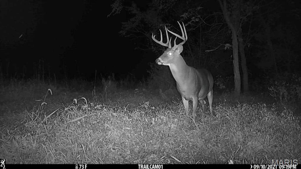 unincorporated - Farm