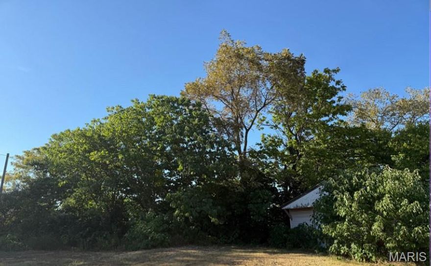 Two City Lots With Endless Possibilities! This would be a great opportunity to own two adjoining lots in the middle of Iberia! It would be perfect for a new build, commercial space, and more! Take a drive by and see all the potential these lots offer.