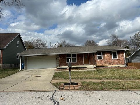 Tiny photo for 691 Walnut Point Court, Ballwin, MO 63021 (MLS # 26020697)