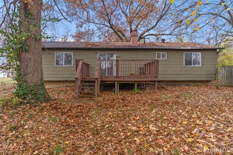 Tiny photo for 12322 Spanish Pond Road, St Louis, MO 63138 (MLS # 25078201)
