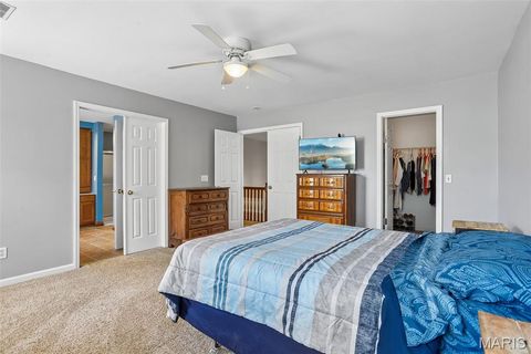 Tiny photo for 308 Buck Creek Road, Silex, MO 63377 (MLS # 26008258)