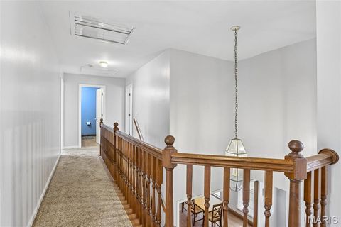 Tiny photo for 308 Buck Creek Road, Silex, MO 63377 (MLS # 26008258)