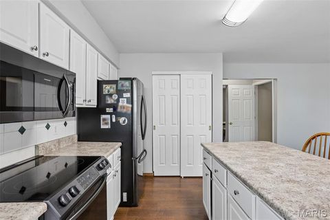 Tiny photo for 308 Buck Creek Road, Silex, MO 63377 (MLS # 26008258)