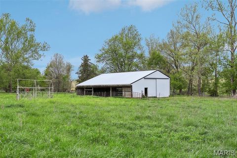 Tiny photo for 308 Buck Creek Road, Silex, MO 63377 (MLS # 26008258)