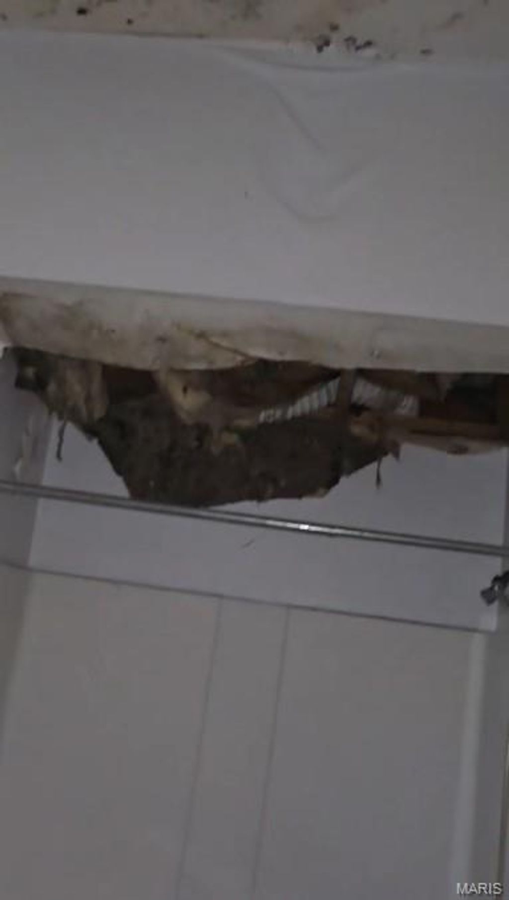 Photo of 1200 N Euclid Avenue, St Louis, MO 63113 (MLS # 25079879)