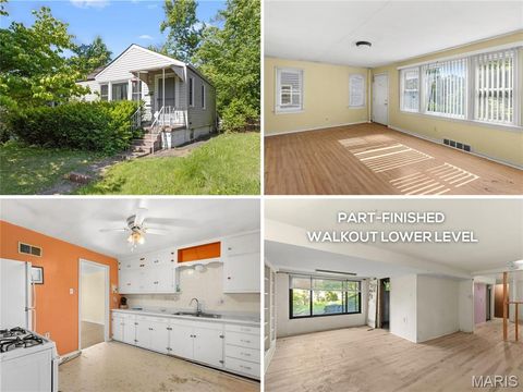 Photo of 437 Warfield Avenue, St Louis, MO 63135 (MLS # 26027811)