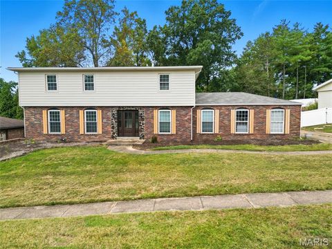 Photo of 114 Lea Meadows Drive, Ballwin, MO 63011 (MLS # 25066477)