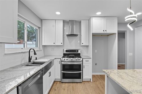 Tiny photo for 114 Lea Meadows Drive, Ballwin, MO 63011 (MLS # 25066477)
