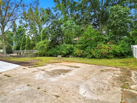 Tiny photo for 114 Lea Meadows Drive, Ballwin, MO 63011 (MLS # 25066477)
