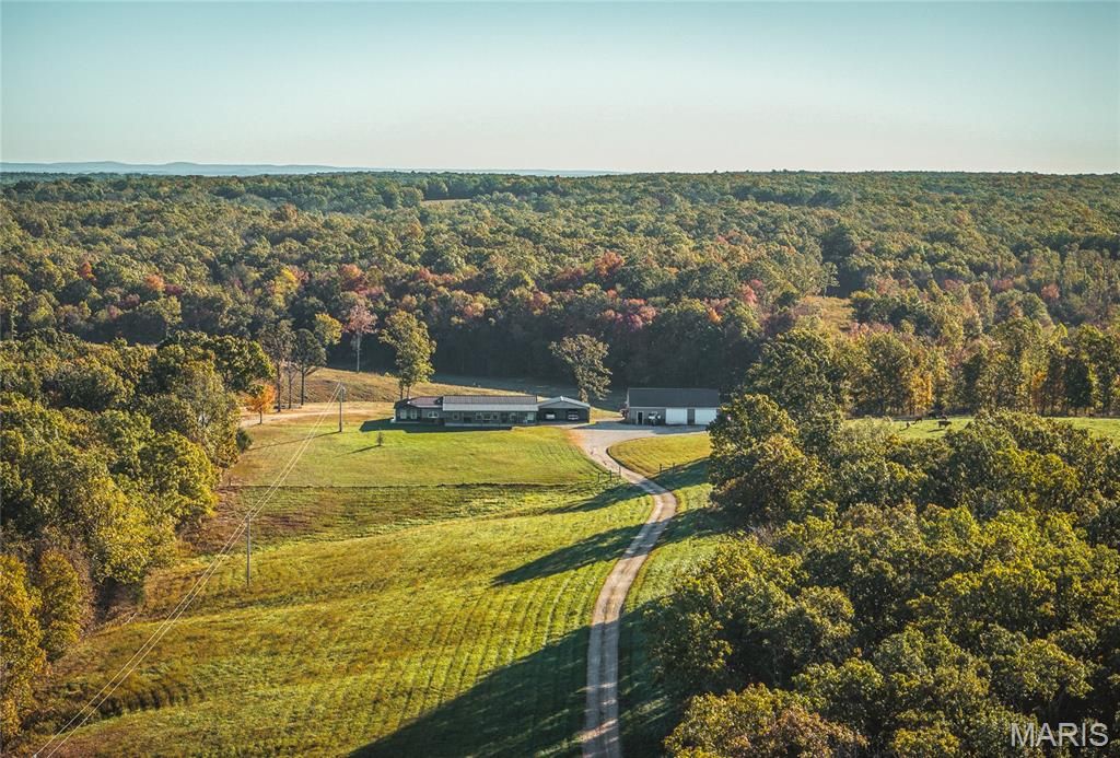 Photo of 663 Highway AA, Steelville, MO 65565 (MLS # 25072975)