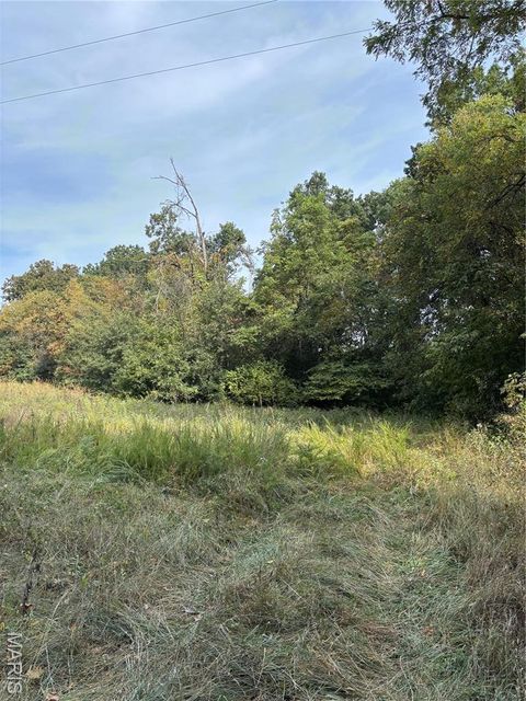 Tiny photo for 48 Snyder Road, Troy, MO 63379 (MLS # 25063329)