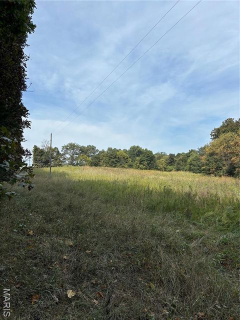 Tiny photo for 48 Snyder Road, Troy, MO 63379 (MLS # 25063329)
