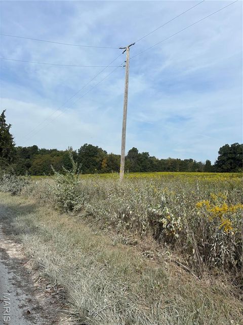 Tiny photo for 48 Snyder Road, Troy, MO 63379 (MLS # 25063329)