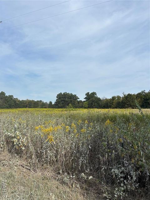 Photo of 48 Snyder Road, Troy, MO 63379 (MLS # 25063329)