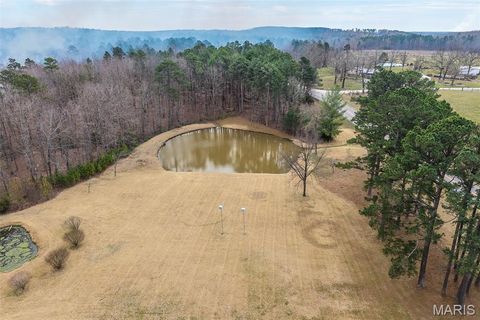 Photo of 17075 Highway BB, Licking, MO 65542 (MLS # 26018734)