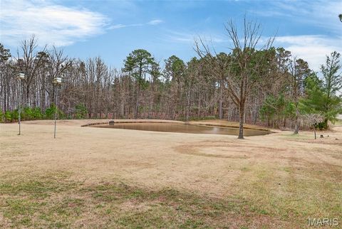 Tiny photo for 17075 Highway BB, Licking, MO 65542 (MLS # 26018734)