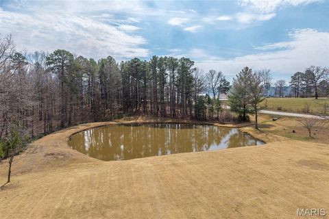 Tiny photo for 17075 Highway BB, Licking, MO 65542 (MLS # 26018734)