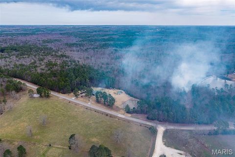 Tiny photo for 17075 Highway BB, Licking, MO 65542 (MLS # 26018734)