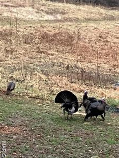 Tiny photo for 4101 Juedeman Road, Unincorporated, MO 65453 (MLS # 26009945)