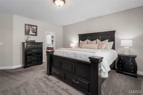 Tiny photo for 526 Elm Creek Drive, Wentzville, MO 63385 (MLS # 26029303)