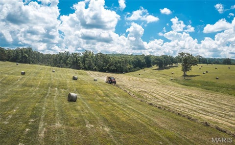 Tiny photo for 10555 Pashia Road, Potosi, MO 63664 (MLS # 26046735)