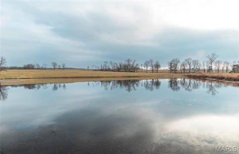 Tiny photo for 10555 Pashia Road, Potosi, MO 63664 (MLS # 26046735)