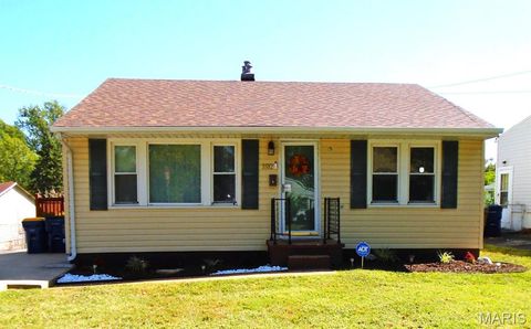 3582 Long Drive St Ann MO 63074