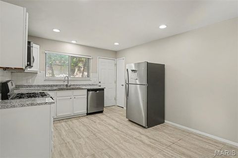 Tiny photo for 3145 Chicory Creek Lane, Affton, MO 63031 (MLS # 26025825)