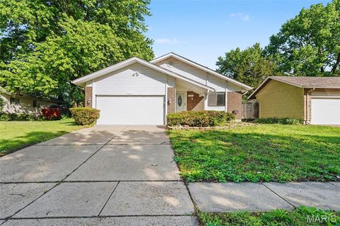 Photo of 3145 Chicory Creek Lane, Affton, MO 63031 (MLS # 26025825)
