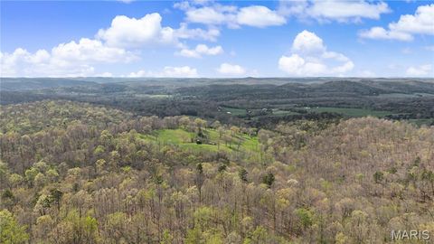 Tiny photo for 23445 Highway 49, Black, MO 63625 (MLS # 26023215)