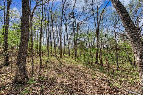 Tiny photo for 23445 Highway 49, Black, MO 63625 (MLS # 26023215)