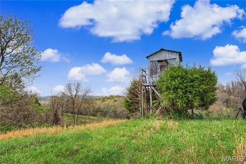 Tiny photo for 23445 Highway 49, Black, MO 63625 (MLS # 26023215)