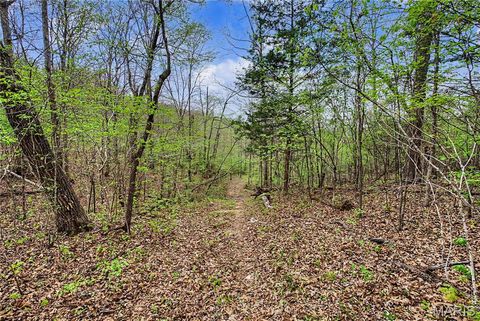 Tiny photo for 23445 Highway 49, Black, MO 63625 (MLS # 26023215)
