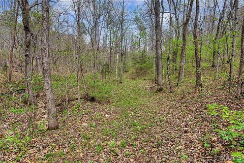 Tiny photo for 23445 Highway 49, Black, MO 63625 (MLS # 26023215)