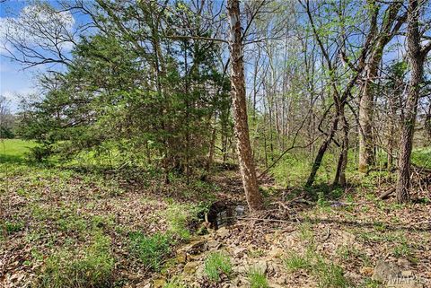 Tiny photo for 23445 Highway 49, Black, MO 63625 (MLS # 26023215)