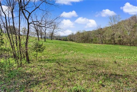 Tiny photo for 23445 Highway 49, Black, MO 63625 (MLS # 26023215)