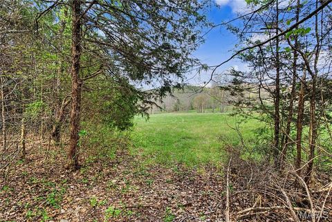 Tiny photo for 23445 Highway 49, Black, MO 63625 (MLS # 26023215)