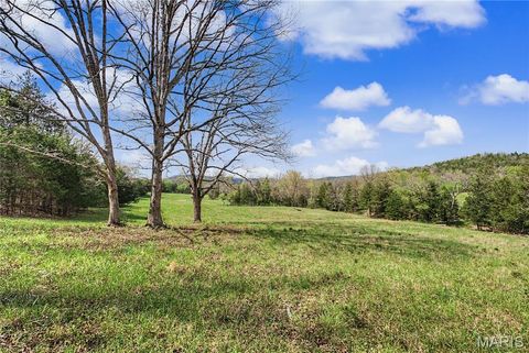 Tiny photo for 23445 Highway 49, Black, MO 63625 (MLS # 26023215)