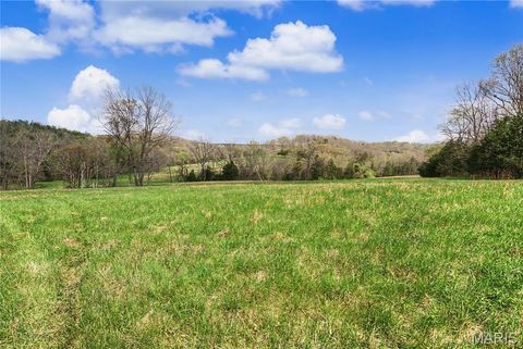 Tiny photo for 23445 Highway 49, Black, MO 63625 (MLS # 26023215)