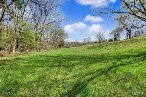 Tiny photo for 23445 Highway 49, Black, MO 63625 (MLS # 26023215)