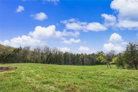 Tiny photo for 23445 Highway 49, Black, MO 63625 (MLS # 26023215)
